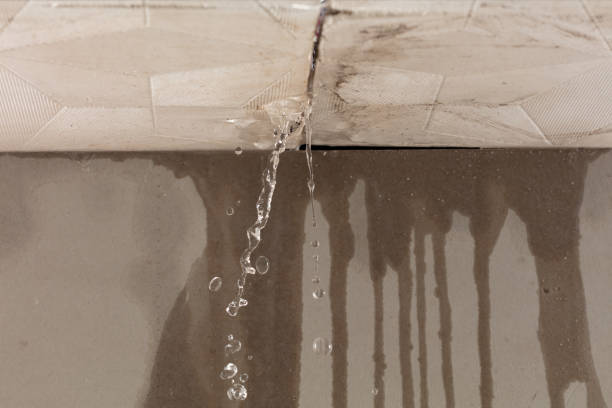 Professional Burst Pipe Cleanup technician working in La Monte, MO